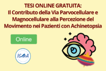 TESI ONLINE GRATUITA Il Contributo della Via Parvocellulare e Magnocellulare alla Percezione del Movimento nei Pazienti con Achinetopsia