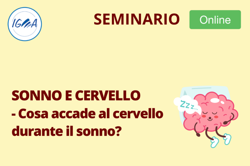 SEMINARIO ONLINE SONNO E CERVELLO - Cosa accade al cervello durante il sonno