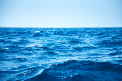 mare